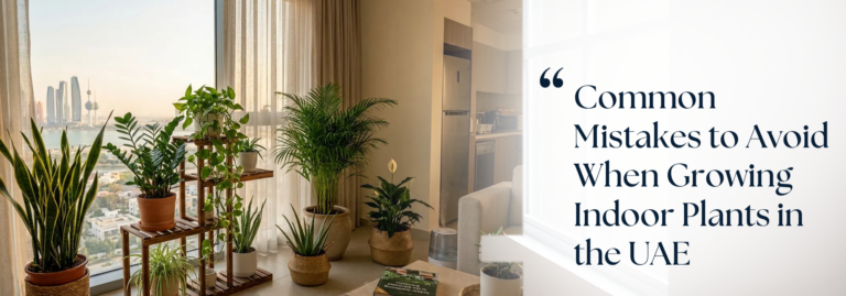 Common Mistakes to Avoid When Growing Indoor Plants in the UAE