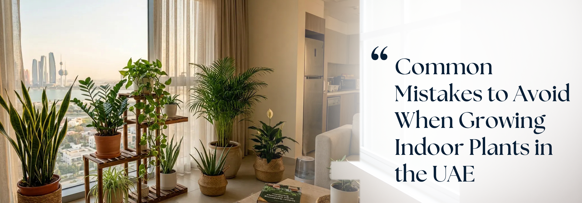 Common Mistakes to Avoid When Growing Indoor Plants in the UAE