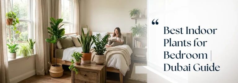 Best Indoor Plants for Bedroom